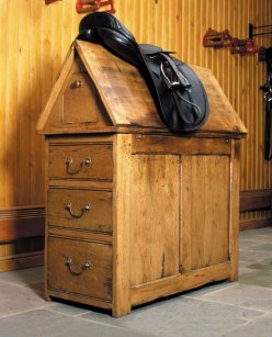 The Windsor saddle horse for two saddles